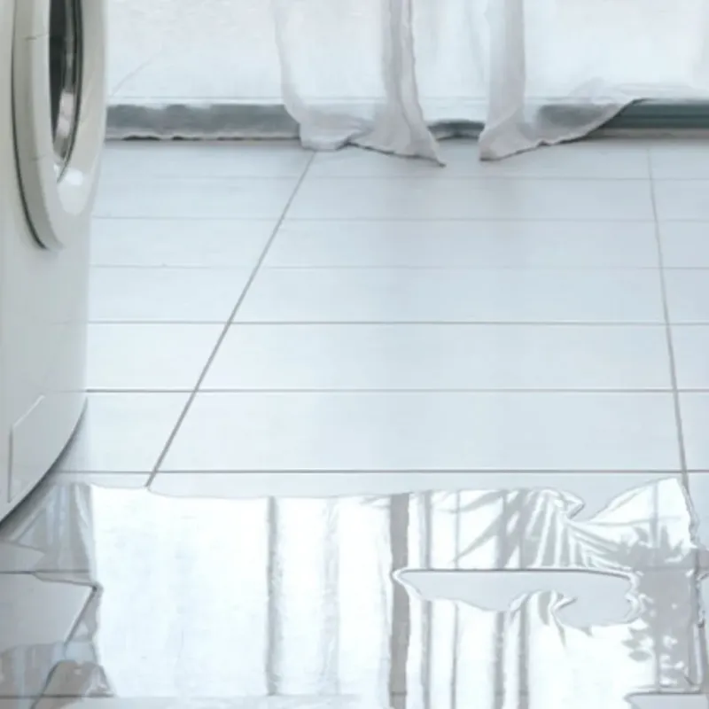 Appliance Leak Cleanup in Navajo County, AZ